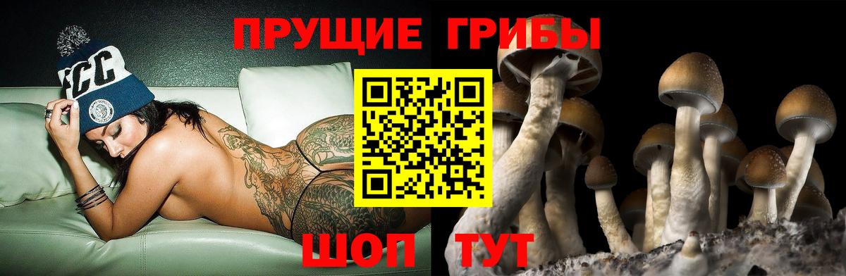 Урюпинск  Галлюциногенные грибы мухоморы  Вход с VPN 